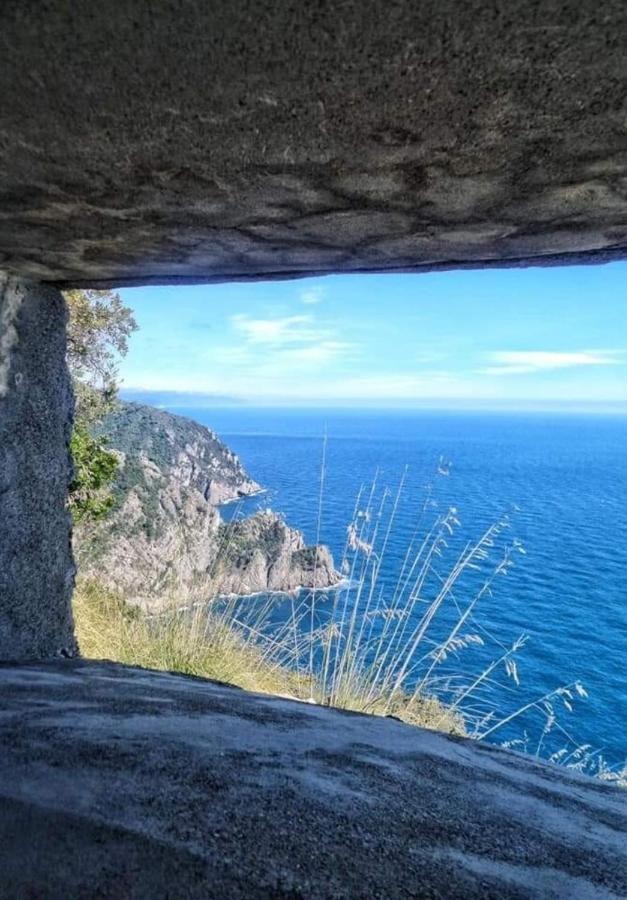 Apartamento Rosablu Vacanza Tra Mare E Parco Di Portofino Camogli Exterior foto